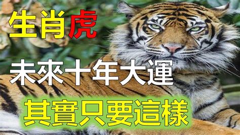 2023屬虎運勢1974|1974年属虎人2023年运势及运程，74年49岁生肖虎2023年每月运势